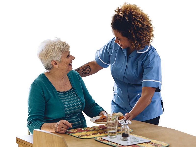 Daily TaskShared Living